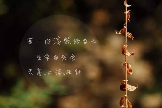 adc8e36295fe48e5b5239d8712b89161.jpeg