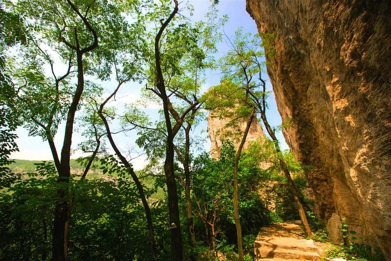 教师节福利 | 全国教师可免费畅游抱犊崮-熊耳山