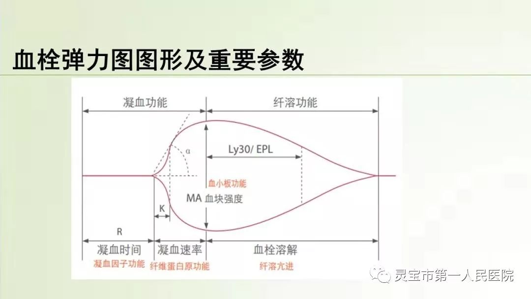 【灵一医动态】输血科举办血栓弹力图检测培训会