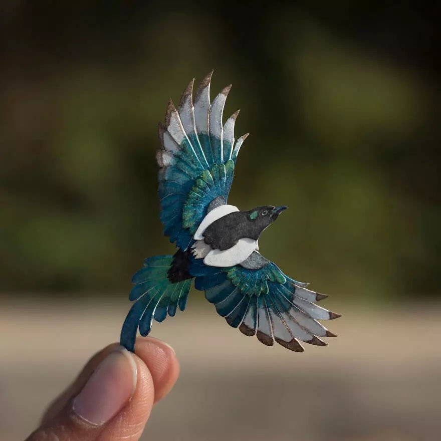 印度的剪纸艺术家，花费一年时间做出来的精致纸鸟