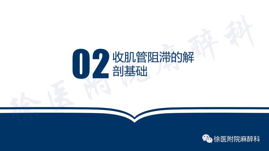 超声引导下连续收肌管阻滞