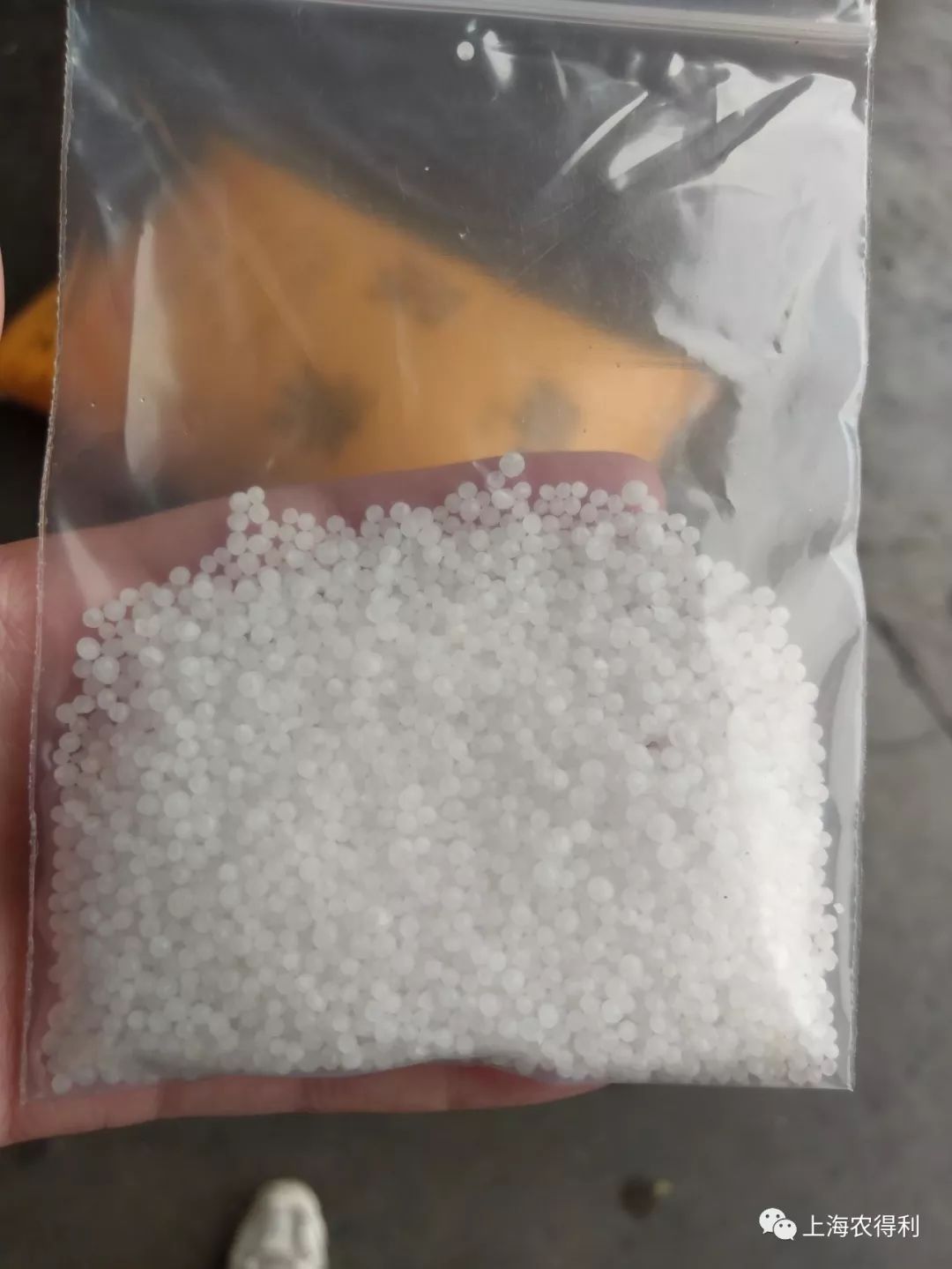 c33356702b544f4fa9d1487524dae596.jpeg