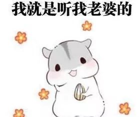 c85cb2ba0eaa4d2ca0d65b72f43bddd3.jpeg