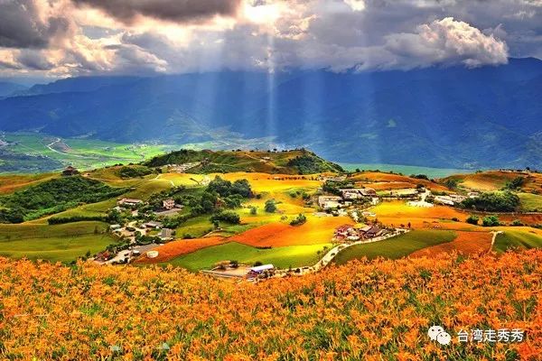 療愈稻浪佐金黃花海！漫遊臺灣花蓮山水紓壓一夏 旅遊 第3張