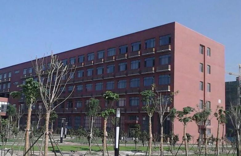 天理迎新明言明语带你走进天理校园
