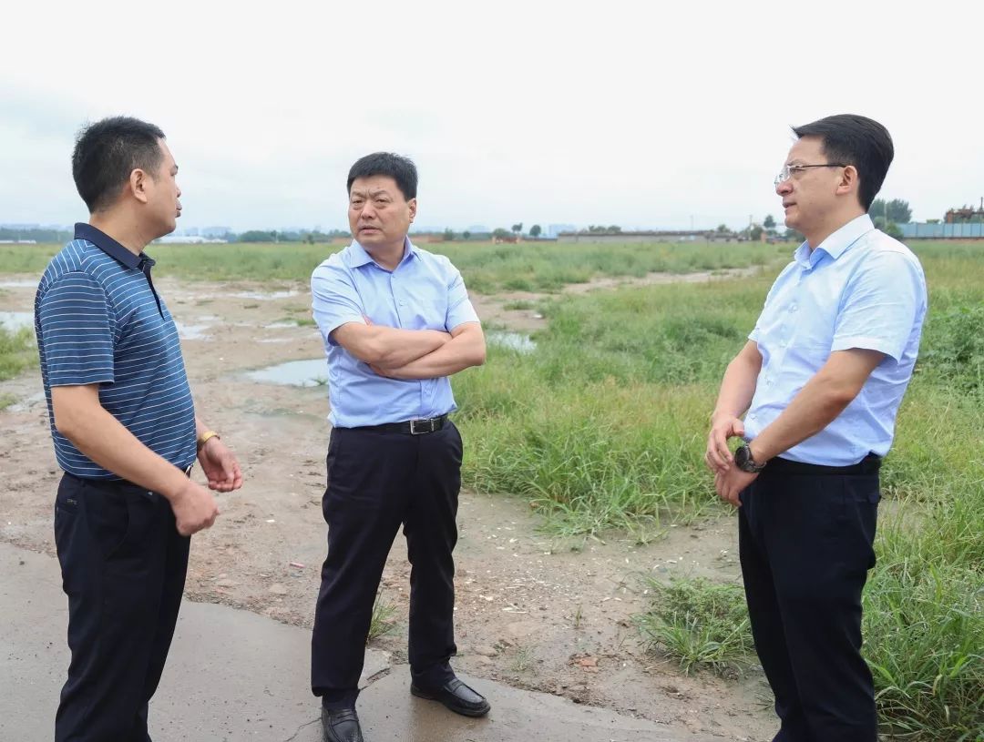 督导在一线区委书记杨建强督导检查土地违法建设整治工作