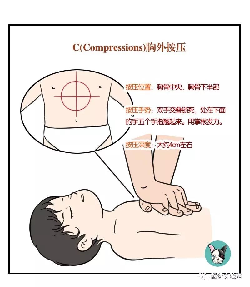 看到胸廓有效起伏。频率为每分钟20次。5次人工呼吸后 就要进行胸外按压了