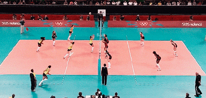2019年女排精英赛明天开赛