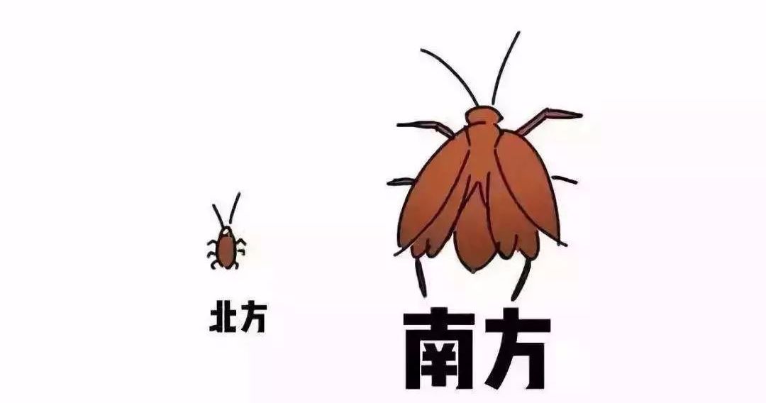 e73ec801355c4facb5349fa2177bcb70.jpeg