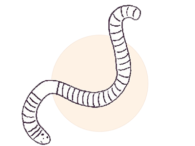 f2084d3981b049eea019661422abcbf3.png