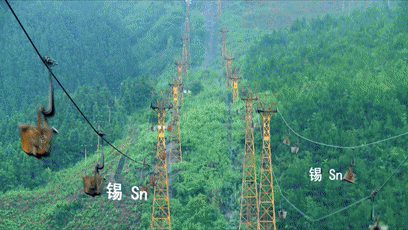 振奋人心黑龙江省自贸区获批 黑河片区示意图公布 有你家没
