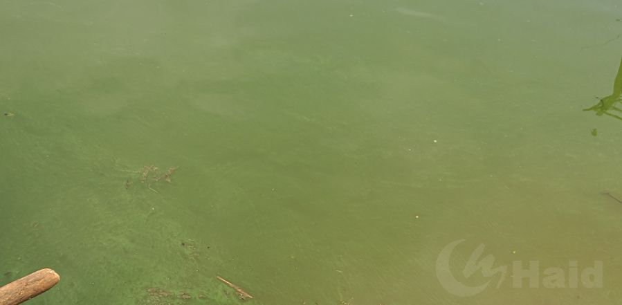 自己怎样测水质 f269d98e577c496a86564a8d51912ffb.jpeg