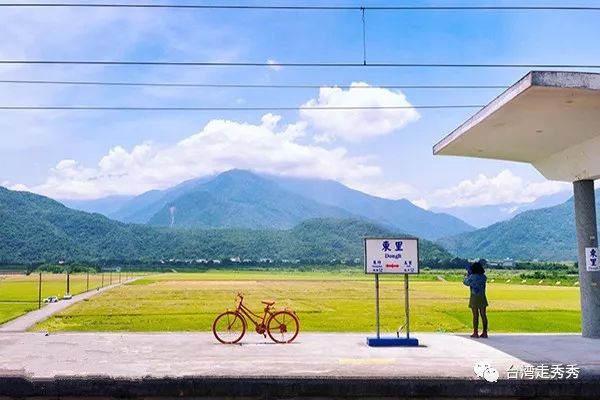 療愈稻浪佐金黃花海！漫遊臺灣花蓮山水紓壓一夏 旅遊 第2張