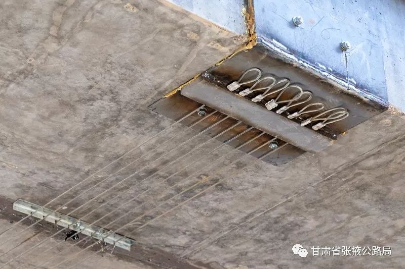张拉锚固后的横向预应力钢丝绳像道道紧绷的琴弦