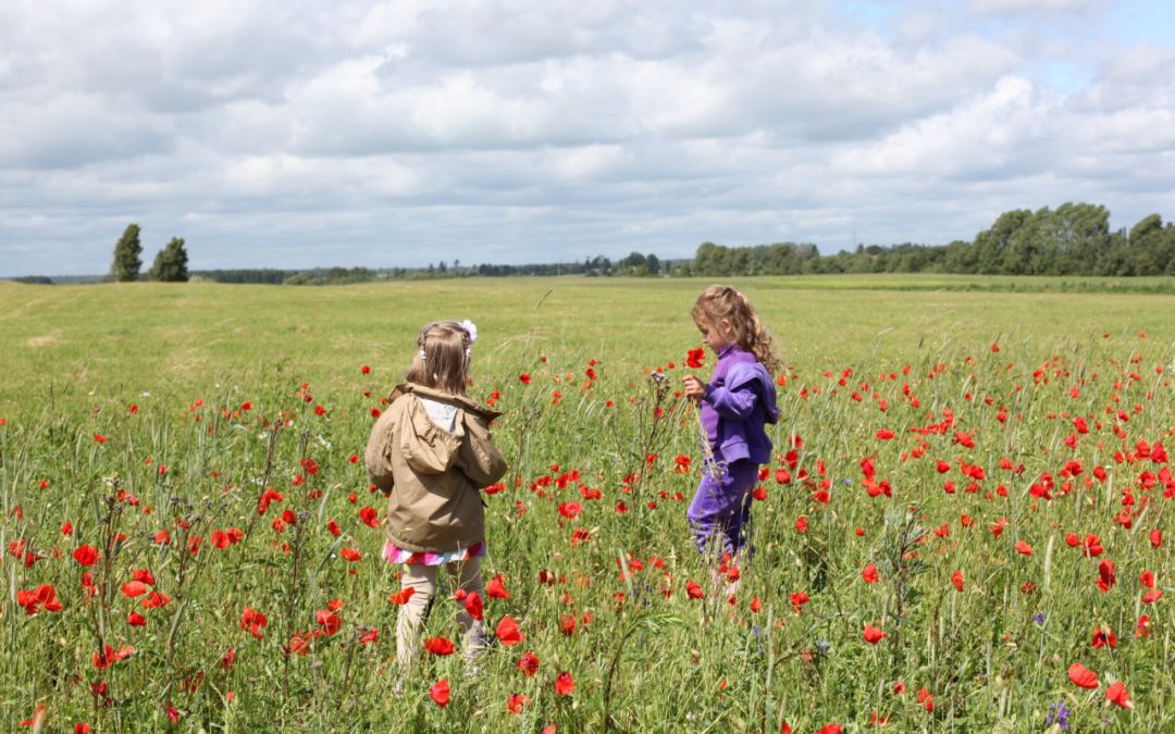 拼音要不要提前学?教育专家的说法可能会令你