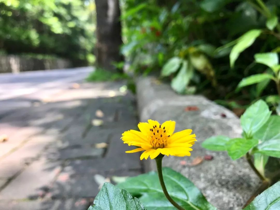 一年中“最凶险”的34天来了,这5件事一定要做好!否则……