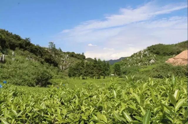 秋風漸起，來安化雲臺山，聽泉水奏響自然之聲 旅遊 第2張