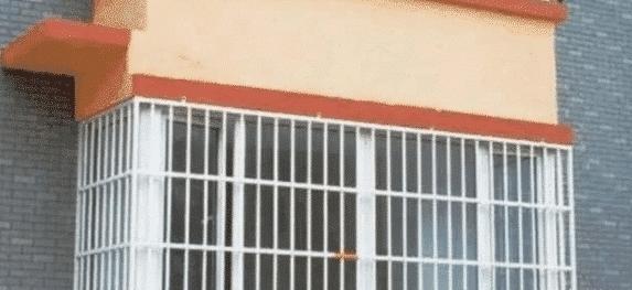                     为保护孩子装了张“网”，到头来却方便了邻居？