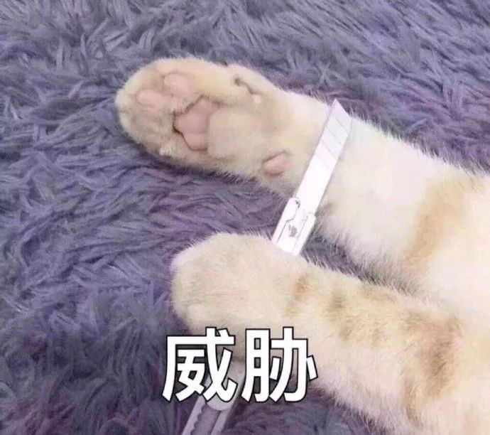 18a2cf7a674c4290a56a22ffd943e008.jpeg