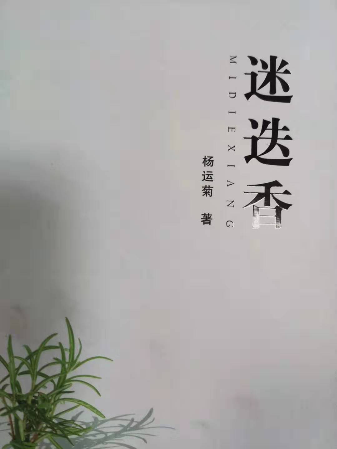 迷迭香简谱_迷迭香数字简谱(4)