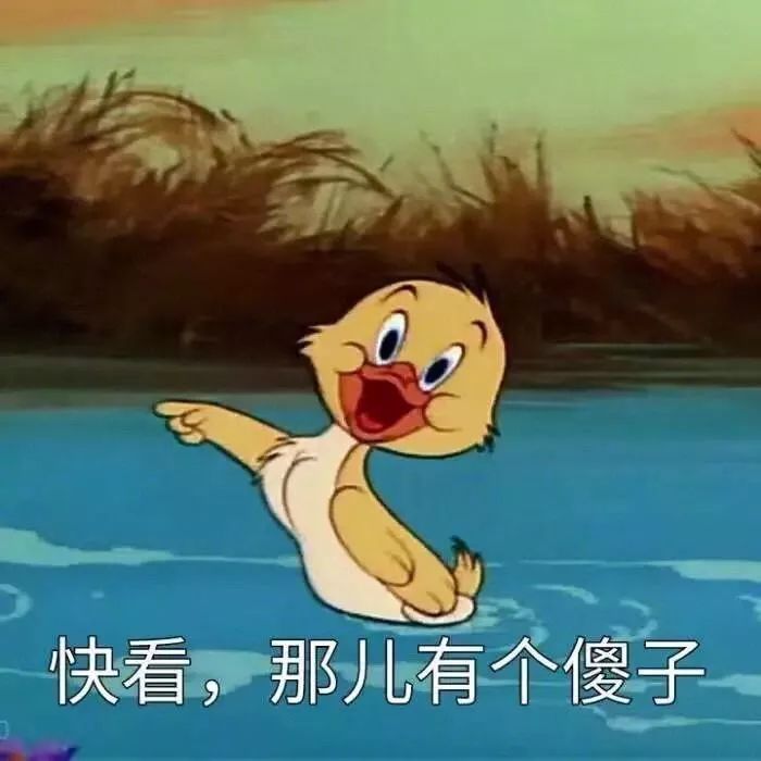 背景图头像猫和老鼠表情包