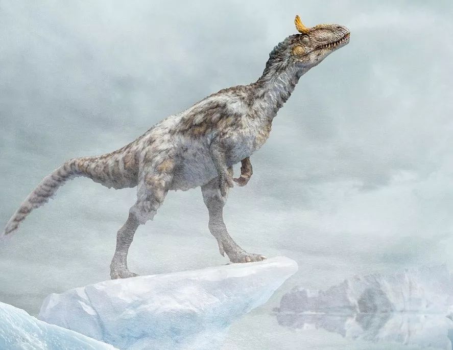 【恐龙大明星】极地王者——冰脊龙