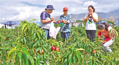 休閒玩出新花樣 旅遊 第4張