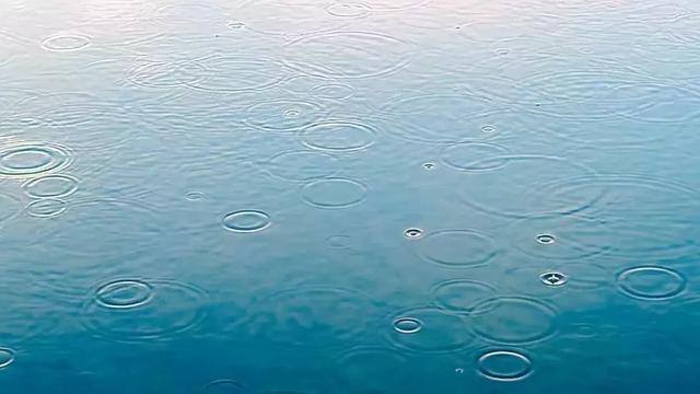 2e9c659200f6418e8784135b38d4f0b3.jpeg