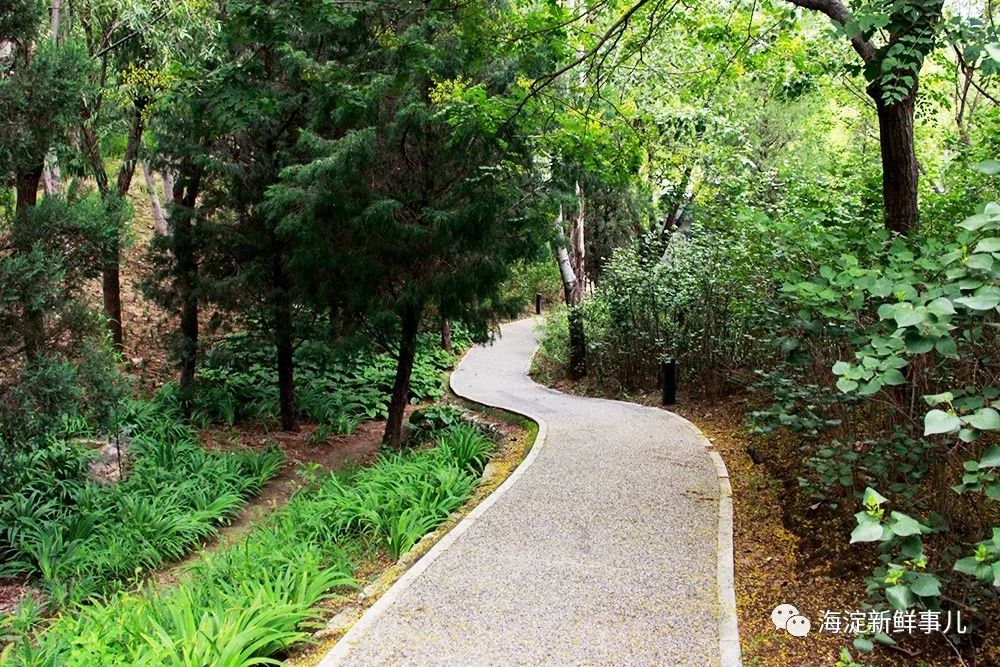 海淀山后有三条神秘小道,你知道几个?_曹雪芹