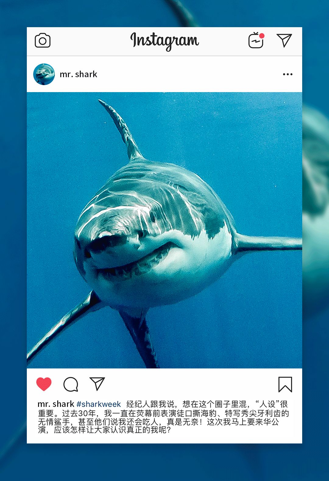 鲨鱼周我是mrshark我现在有点方