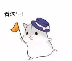 3b76c8d4a37643198a16ee64bd1a9cac.jpeg