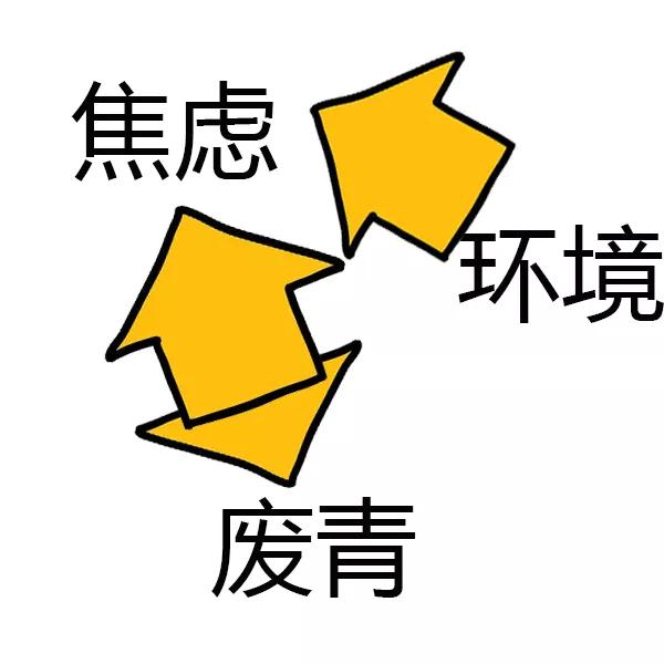3d69cd23309d44ea90dee0e7a68f3b10.JPG