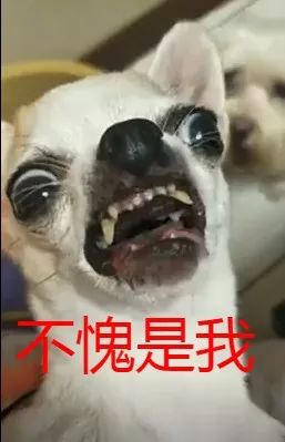 什么布一什么成语大全_一图一成语猜答案大全(3)