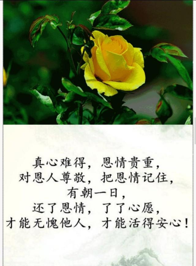 做人:恩情,不能忘;真情,不能伤;做人,勿忘恩!