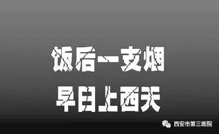 454d79148cce4d139d222f73286c9ee6.jpeg
