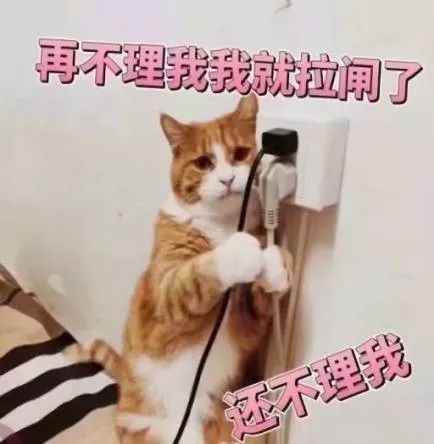 文章配图-8