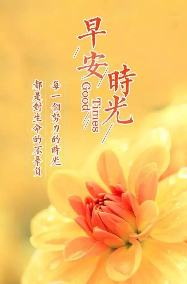 朋友,是一生修来的福分;爱情,是一世难解的缘分,早安