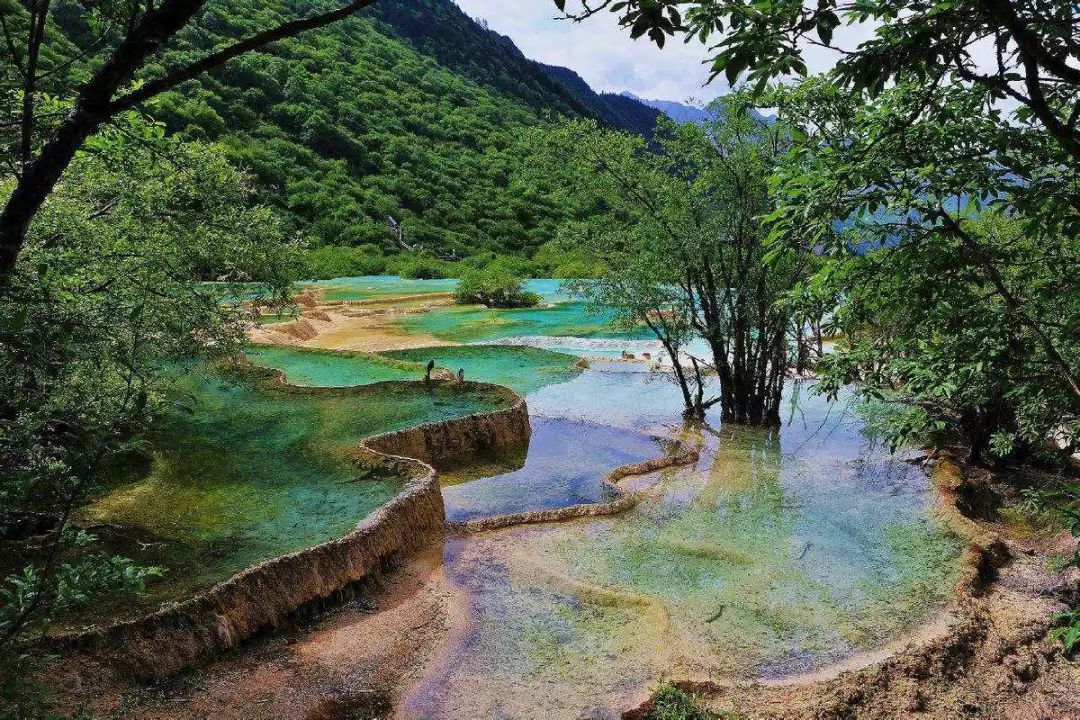 玩美四川九寨归来成都乐山峨眉山黄龙九寨沟双飞六日游