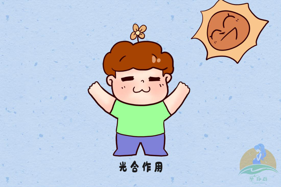 晚上睡不着觉是因为睡太饱了吗 4e1dfbe2b68046988da56ec3957fbeea.png