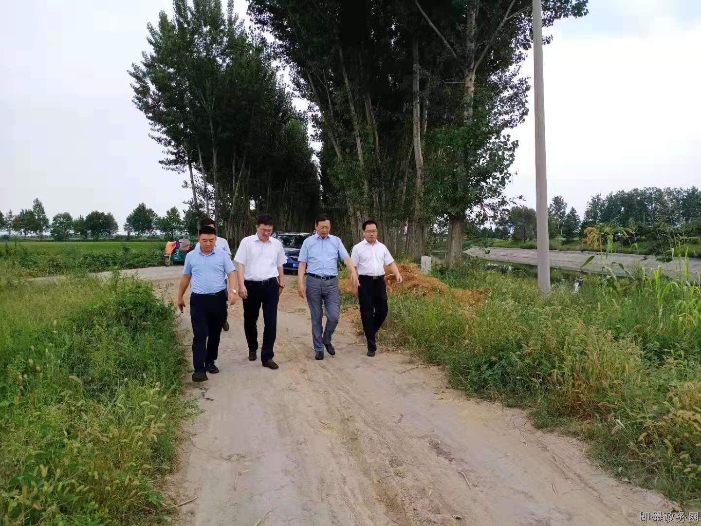 青岛蓝谷高新区即墨区副总河长王宝善到龙华河五沽河巡河