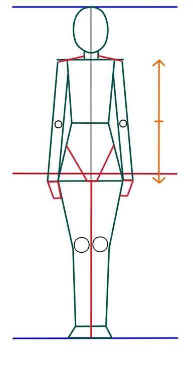 精品动漫人物身体比例怎么画八头身人体画法详细教程