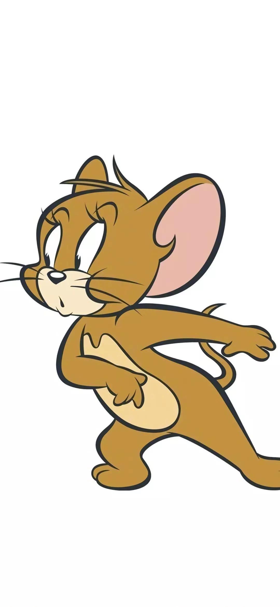 猫和老鼠壁纸丨永远的tom和jerry