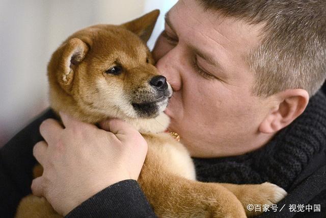 怎么才能让狗不乱跑 56c16dcb648e4031aa69d3796e8eb322.jpeg