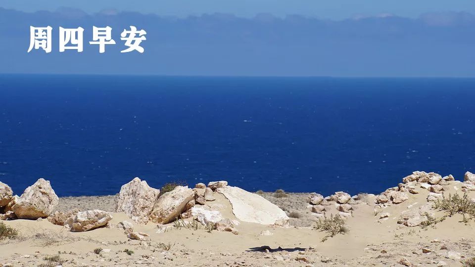 周四你好,面朝大海,春暖花开,微笑每一天!
