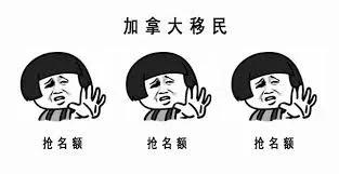 重磅！唯一不JBO竞博体育要求雅思的加拿大安省移民如约重新开放！最新名额发布！(图3)