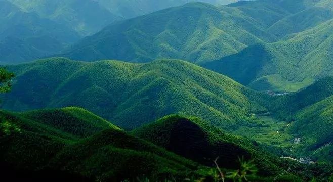 避暑休闲:塘栖古镇、莫干山、下渚湖、