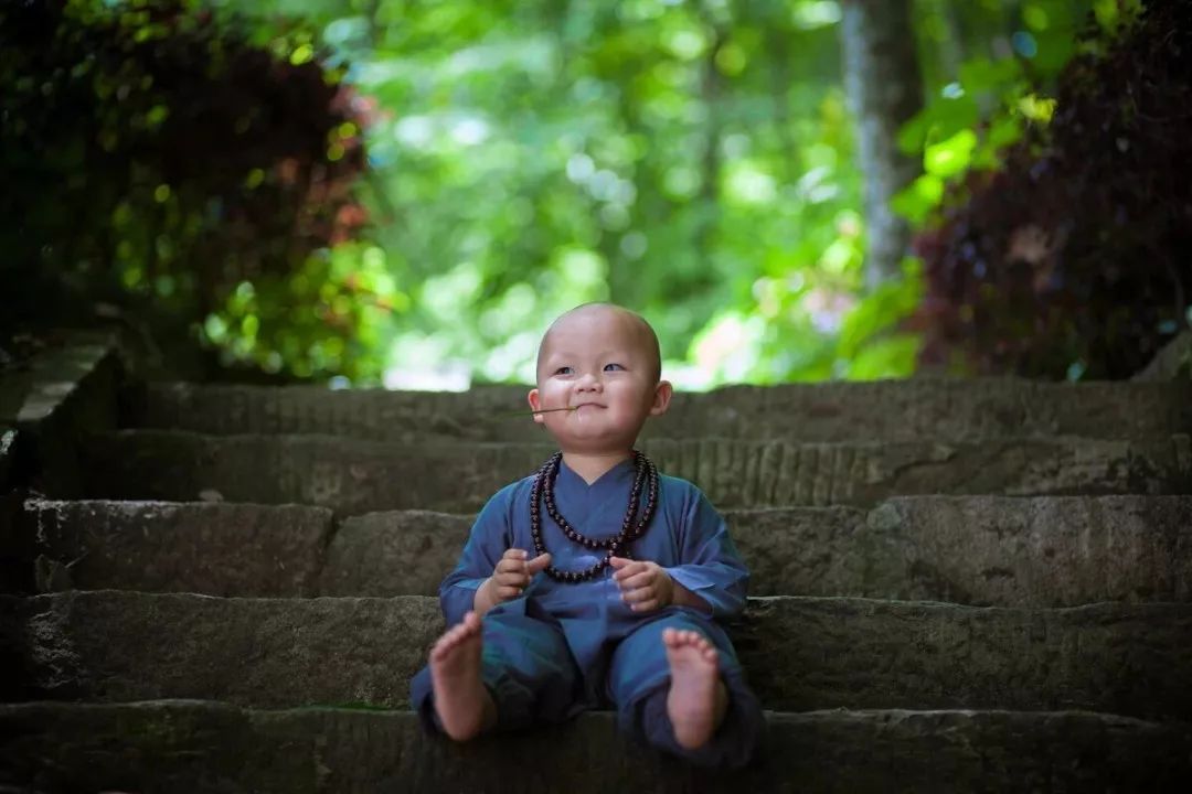 万般皆苦,唯有自渡(深度好文)