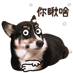 狗��的几个冷知识,你知道两个算我输