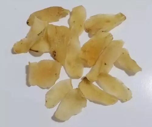 【药材辨识】百合,你买对了吗?