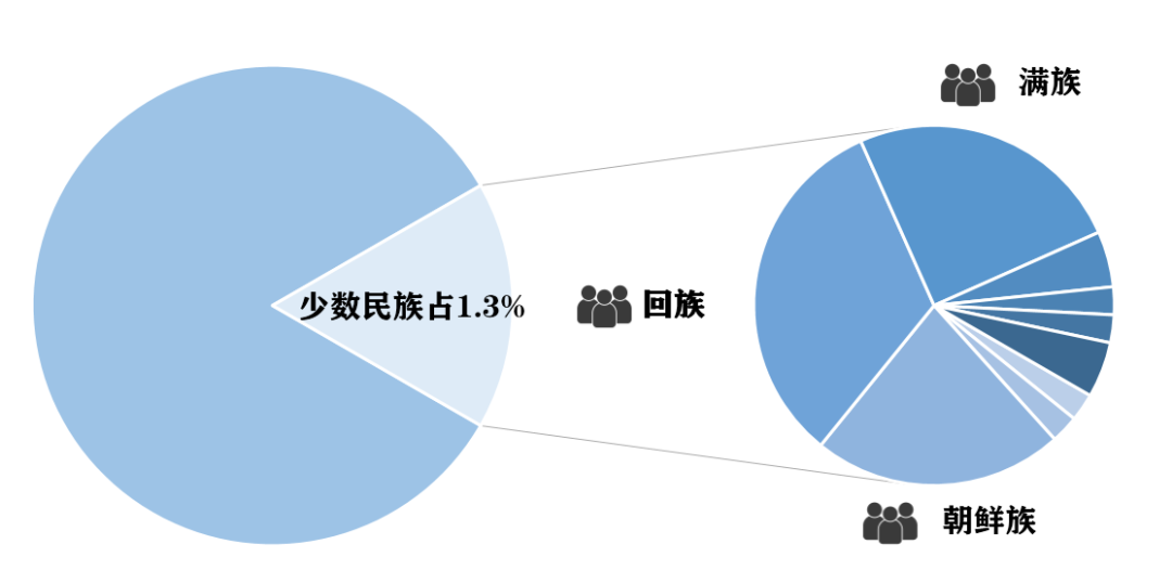 少数民族人口数量_少数民族人口数量饼图